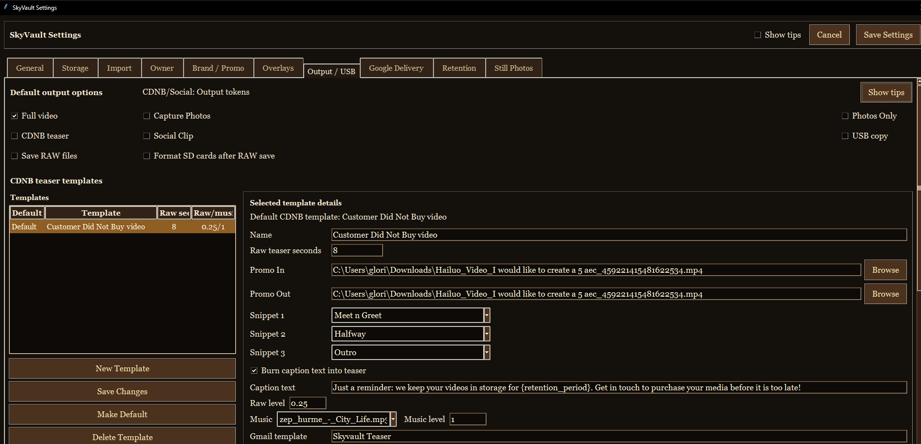 SkyVault owner settings