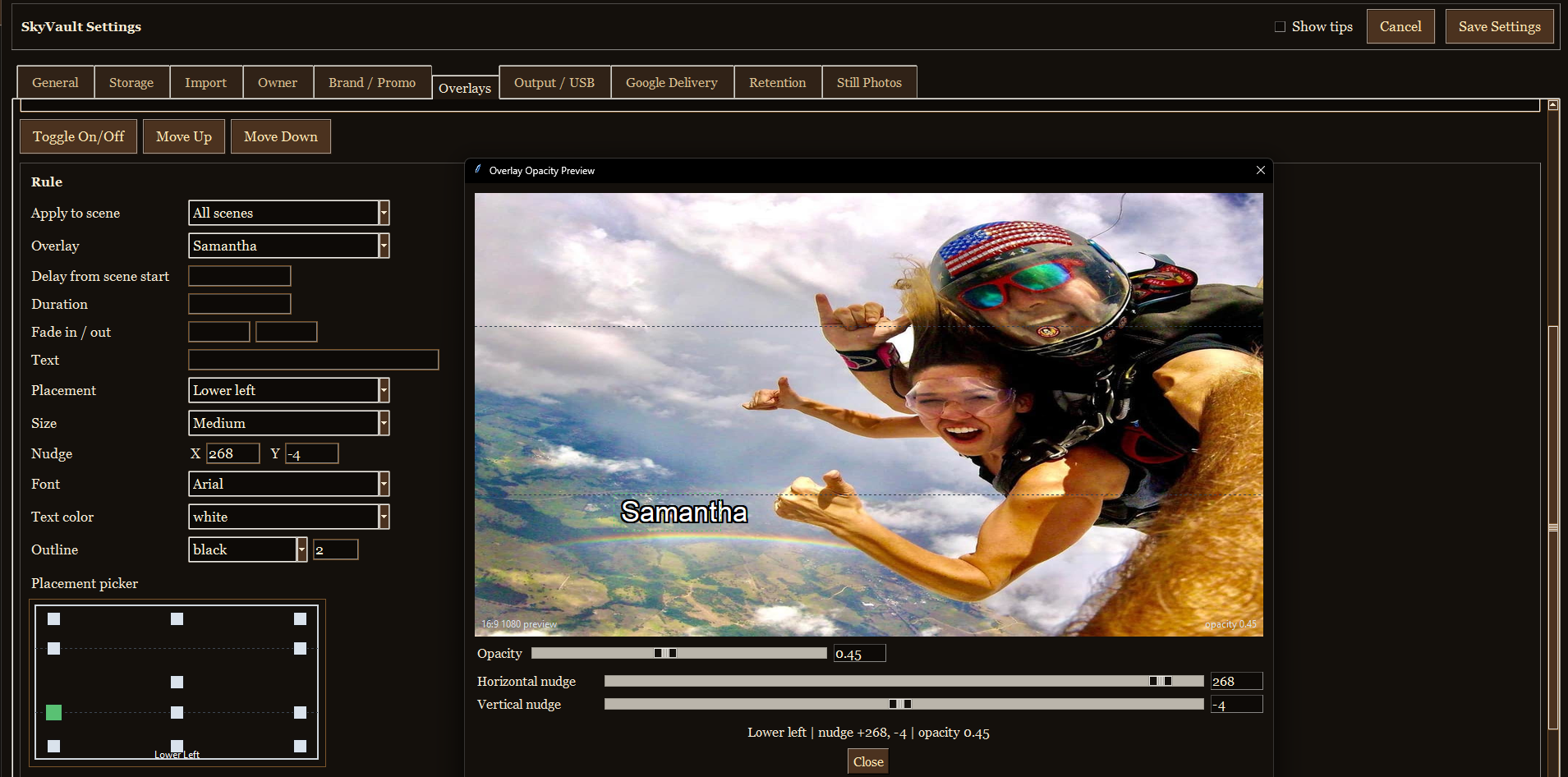 SkyVault overlay settings and preview window
